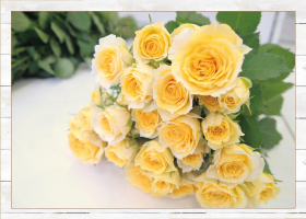 スプレーバラ10本880円