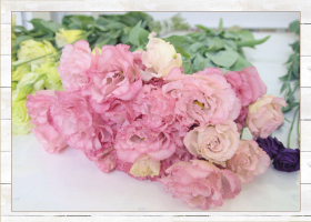 トルコキキョウ10本1580円