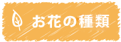お花の種類