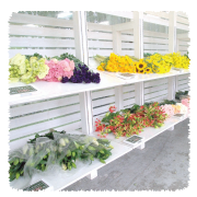 Suita-flowerすいたフラワーの束売りコーナー