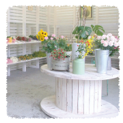 Suita-flowerすいたフラワーのフラワーバイキング