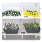 Suita-flowerすいたフラワーの仏花コーナー